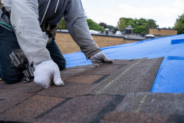 Quick and Trustworthy Emergency Roof Repair Services in Lynn Haven, FL